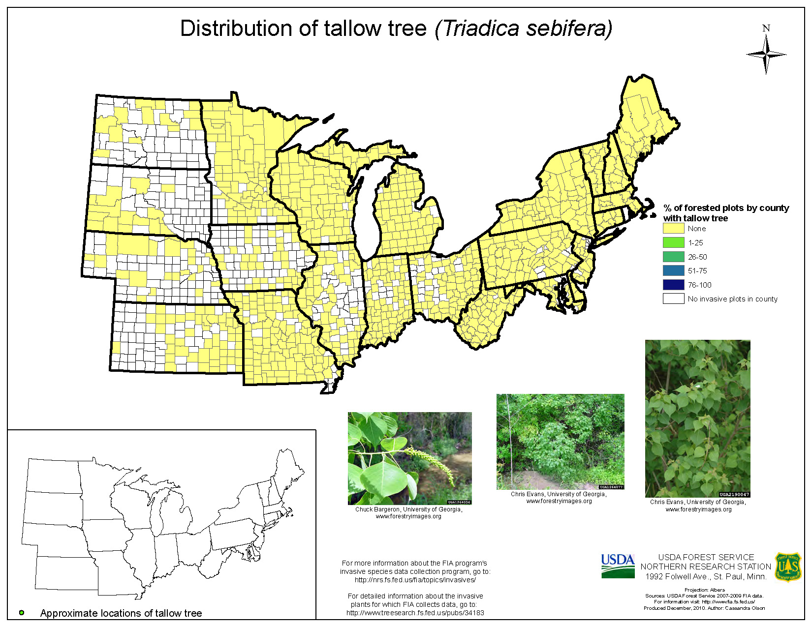 Emerald Ash Borer Distribution Map